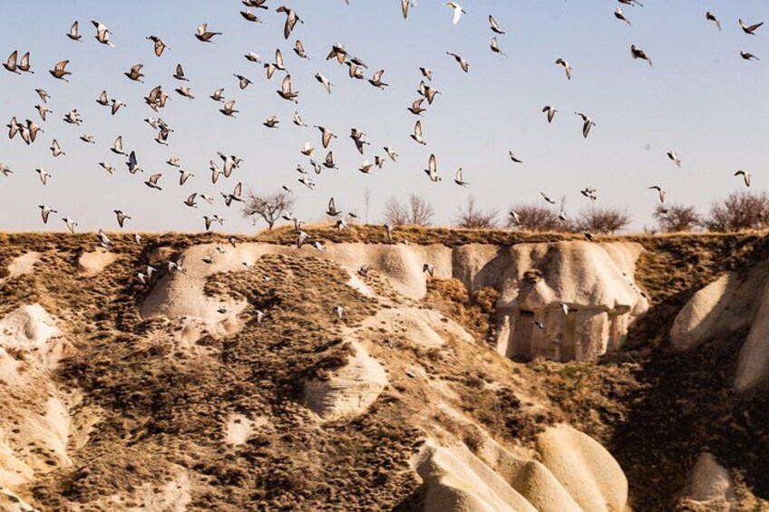 Un paysage rocheux où l’on voit des oiseaux voler dans le ciel. 1