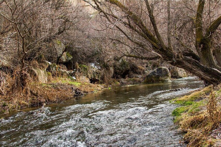 Une rivière traverse une zone boisée où les arbres sont dégarnis et une branche d’arbre tombée enjambe l’eau. 3