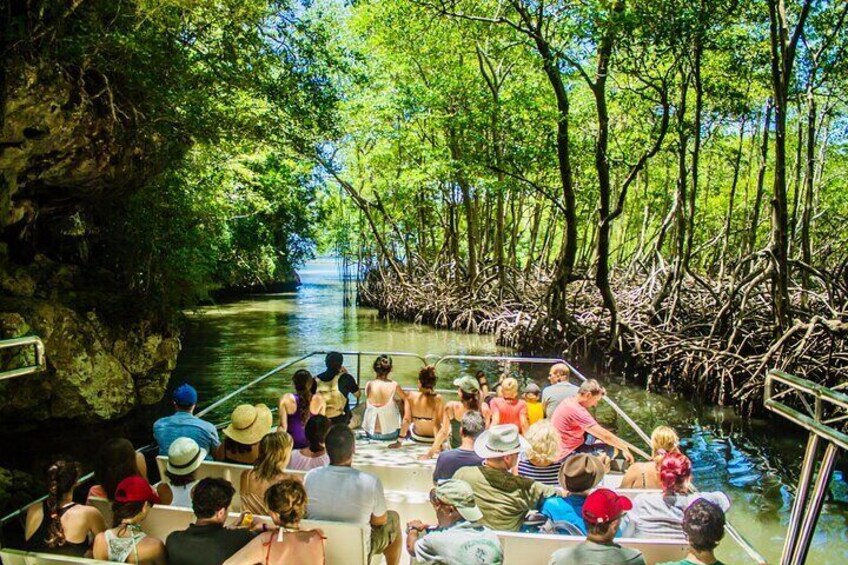 2in1: Los Haitises National Park + Yanigua Waterfall-SPA