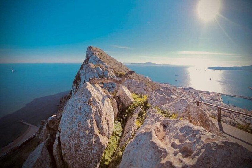 7 Hour Guided Shore Excursion in Gibraltar with 12 stops 2