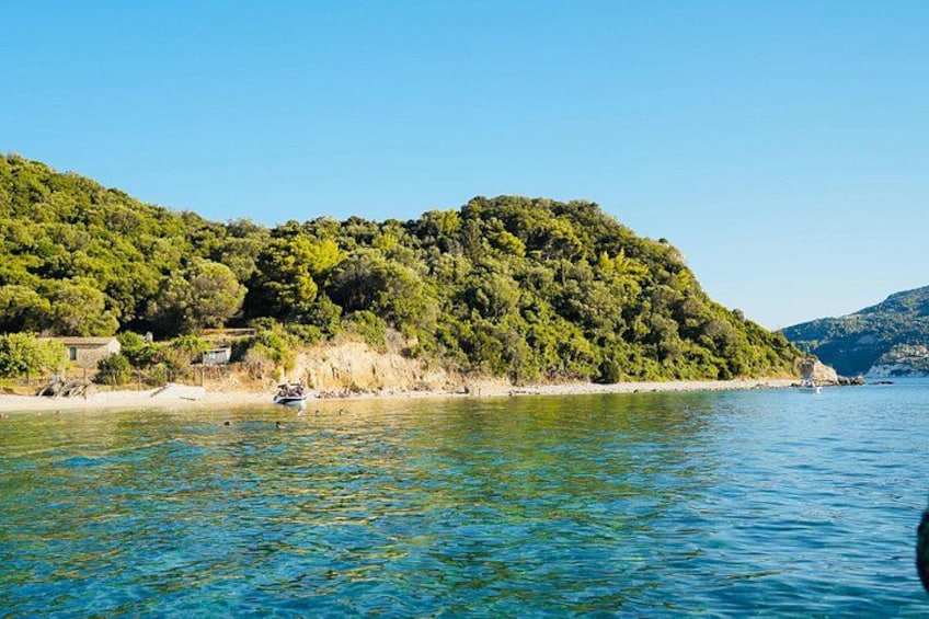 Turtle island 2