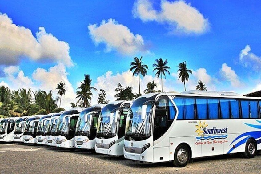 A row of white buses with blue and red Southwest branding parked on a gravel surface. 1