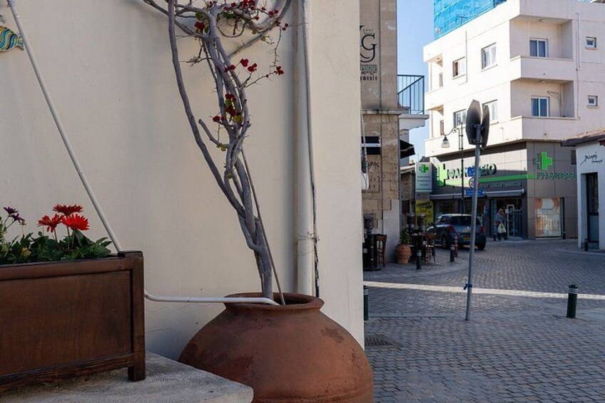 Una calle con un árbol, una maceta grande y edificios con tiendas. 4