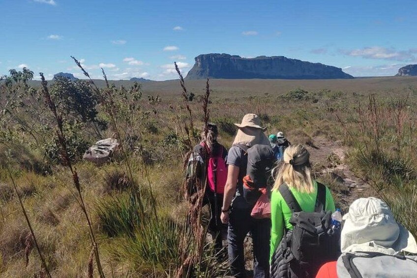 A group of hikers on a trail with a mountain in the background. 2