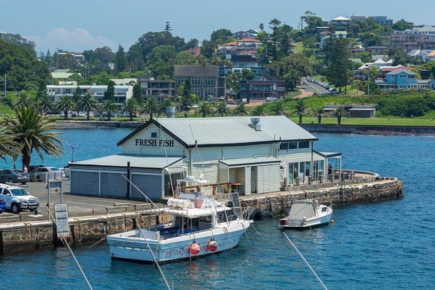Kiama Harbour 4
