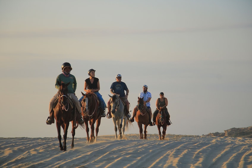 Beach UTV & Horseback Riding COMBO in Cabo by Cactus Tours Park  5