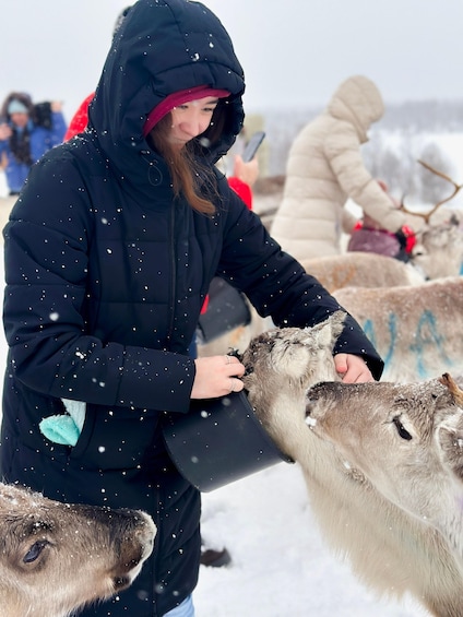 A person in a black jacket petting a reindeer in a snowy setting. 3