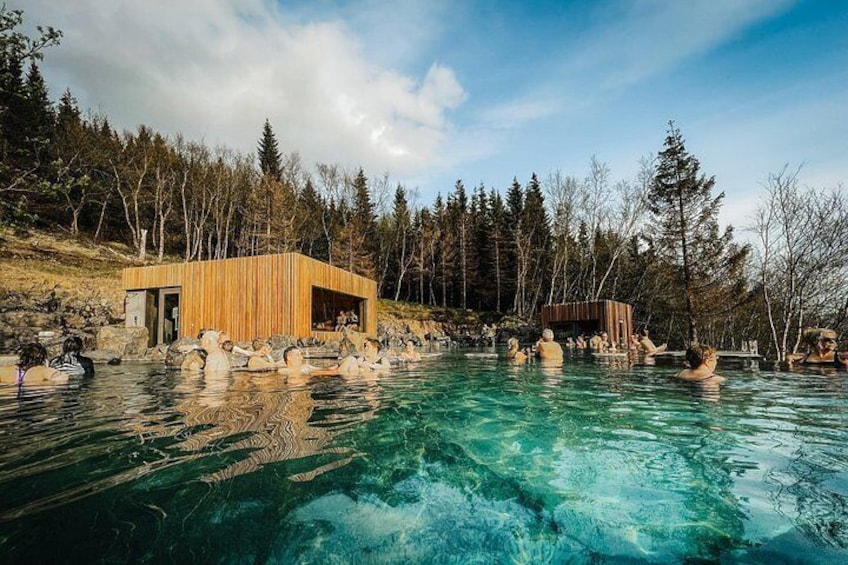 A wooden cabin by a clear blue pool surrounded by trees. 2