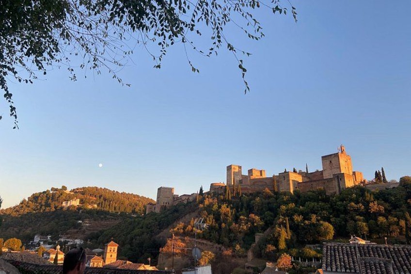 A historic castle on a hill, surrounded by trees and buildings. 1