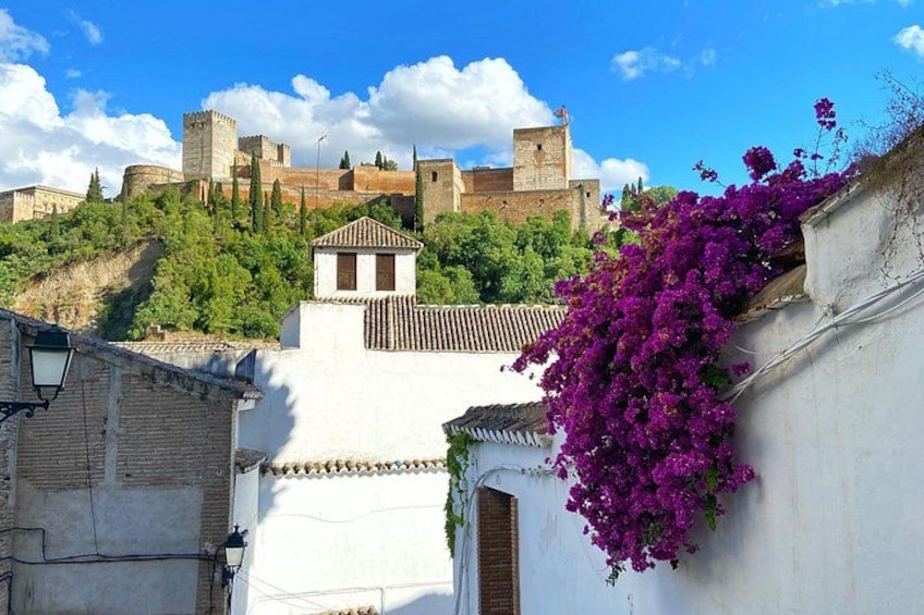 A historic cityscape with a prominent castle, white buildings, and purple bougainvillea. 5