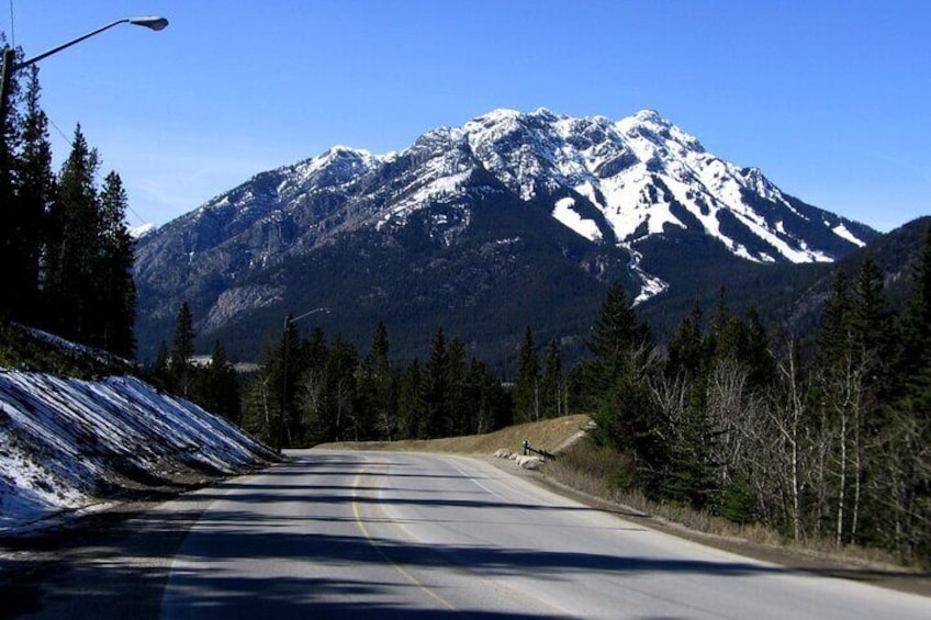 A road leading to a snow-capped mountain with pine trees on either side. 1