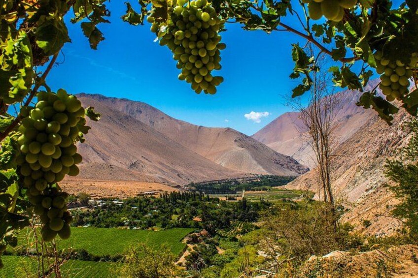 Elqui Valley 1