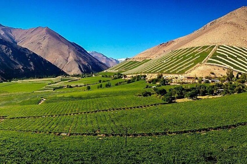 Elqui Valley 2