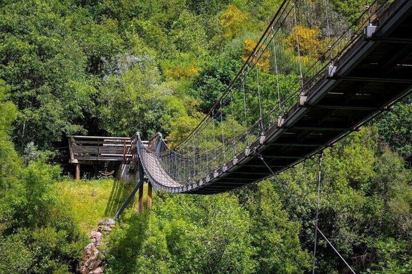 Een hangbrug met een houten loopplateau, omgeven door een dicht, groen bos. 5