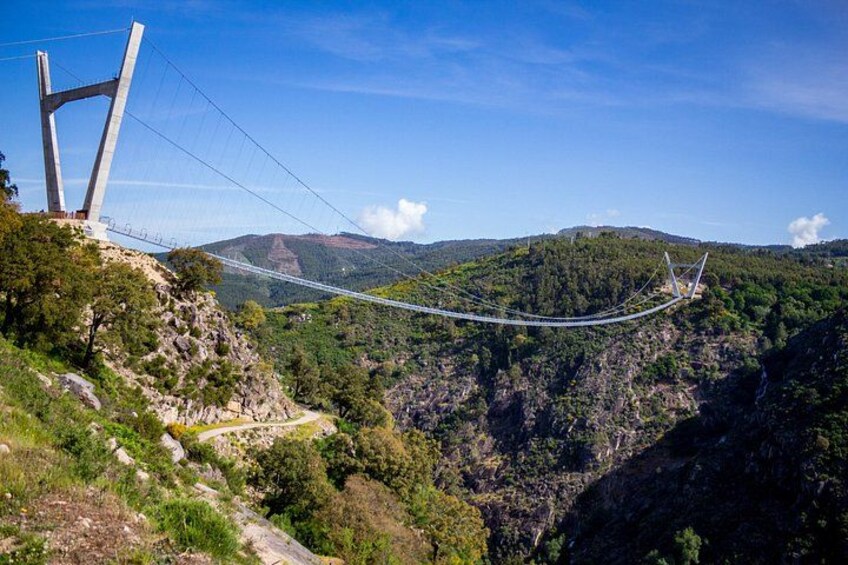 Arouca Bridge 5