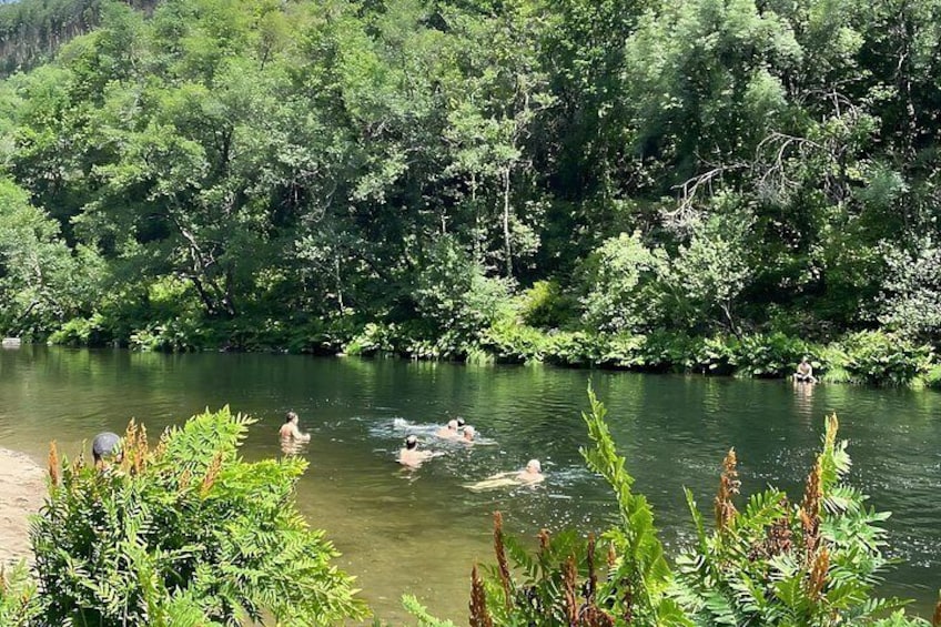 Een rivier met mensen die zwemmen, omgeven door een dicht groen bos. 4