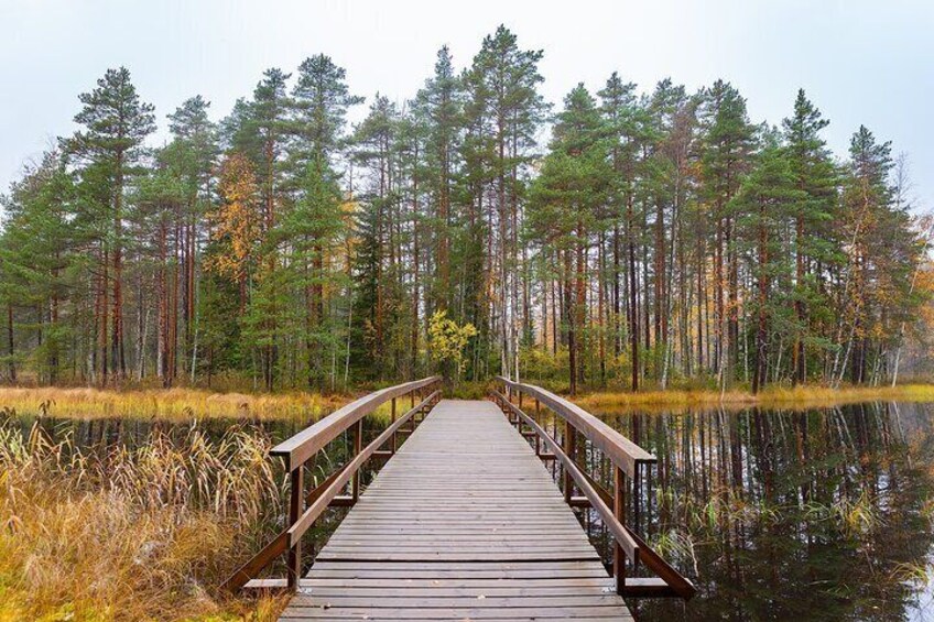 Private Tour of Nuuksio National Park Adventure by Car