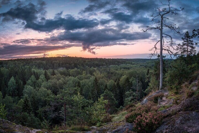 Private Tour of Nuuksio National Park Adventure by Car