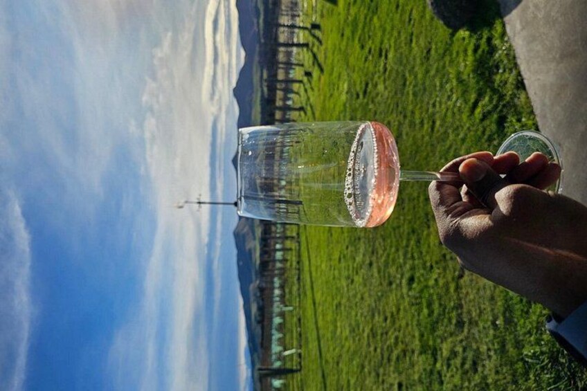 Waipara Wine Trail Tour From Christchurch 3