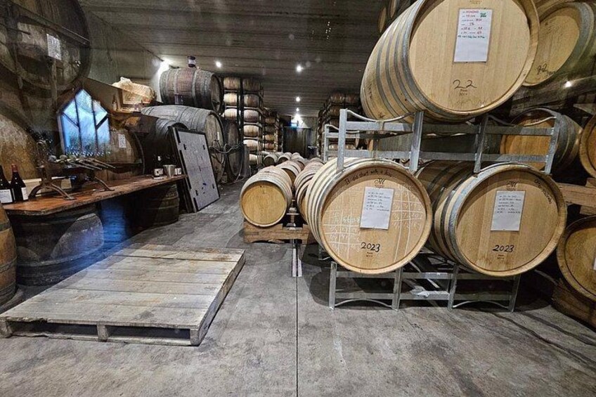 Waipara Wine Trail Tour From Christchurch 2