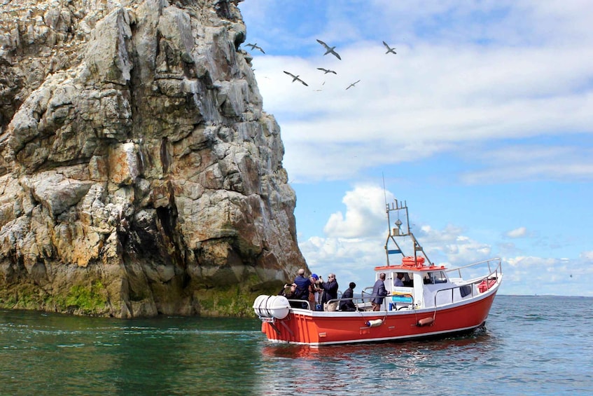 Dublin: Howth Coastal Boat Tour 1