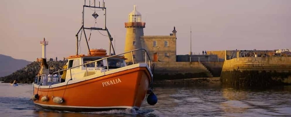 Picture 17 for Activity Dublin: Howth Coastal Boat Tour 5