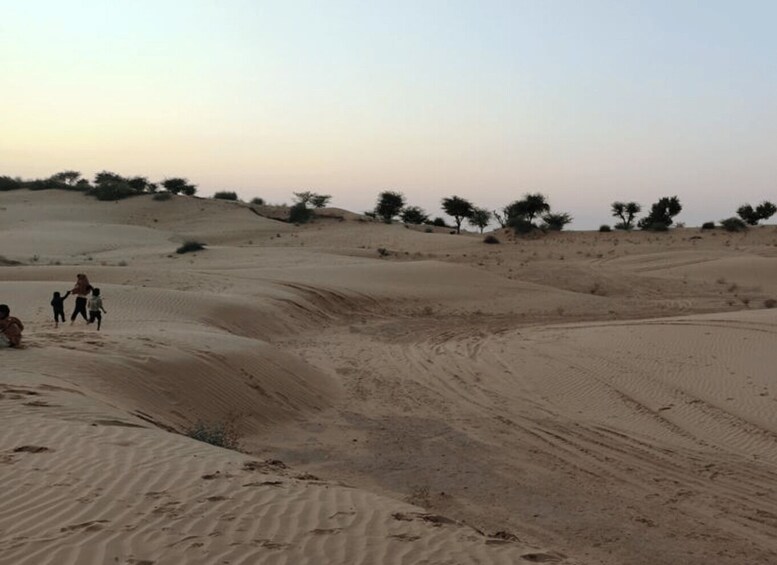 Picture 5 for Activity From Jodhpur: Half-Day Tour, Camel Ride, & Dinner in Osian 5