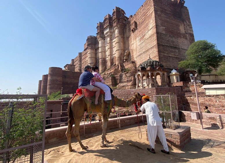 Picture 56 for Activity From Jodhpur: Half-Day Tour, Camel Ride, & Dinner in Osian 4