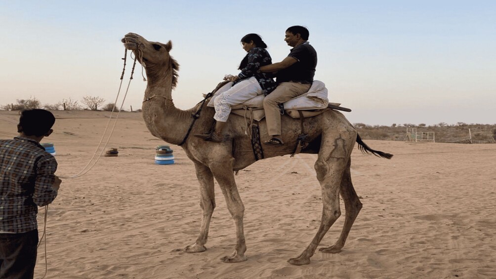 From Jodhpur: Half-Day Tour, Camel Ride, & Dinner in Osian 2