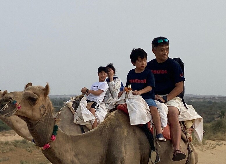 Picture 55 for Activity From Jodhpur: Half-Day Tour, Camel Ride, & Dinner in Osian 2