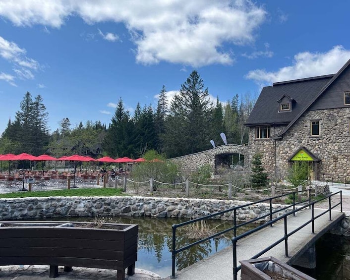 Picture 7 for Activity Sentier des cimes Laurentides: Treetop Observatory & Walk 3