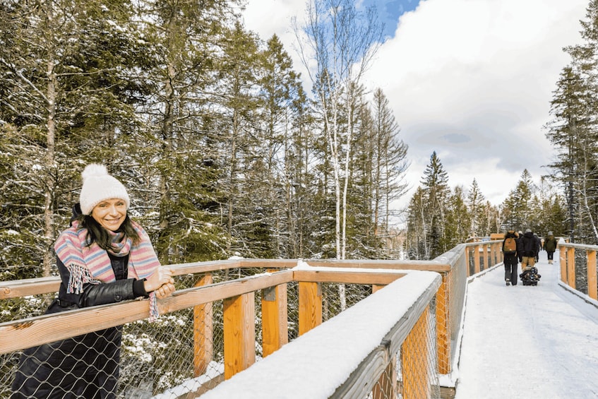 Picture 12 for Activity Sentier des cimes Laurentides: Treetop Observatory & Walk 4
