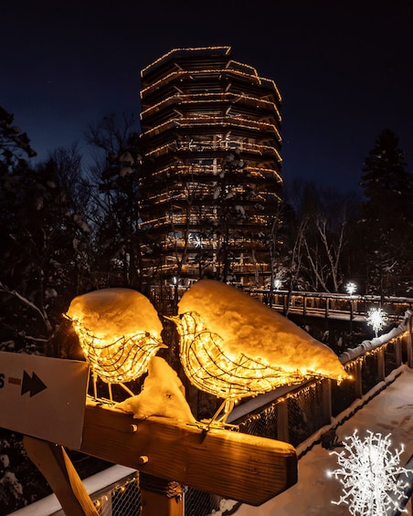 Picture 17 for Activity Sentier des cimes Laurentides: Treetop Observatory & Walk 5