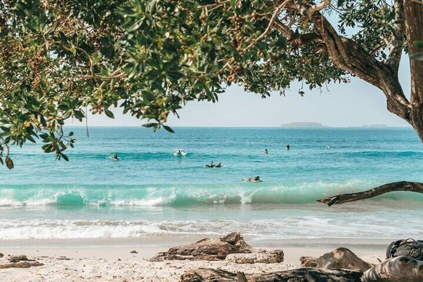 A beach with people swimming and surfing, a tree in the foreground, and rocks on the shore. 5