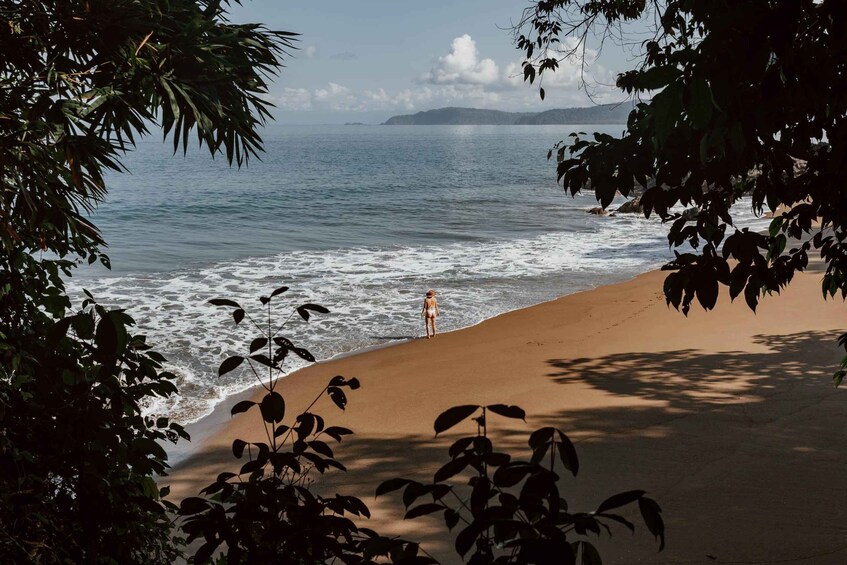 Picture 1 for Activity Drake Bay: Explore Drake Bay as a Local Beach Hike Guided 3