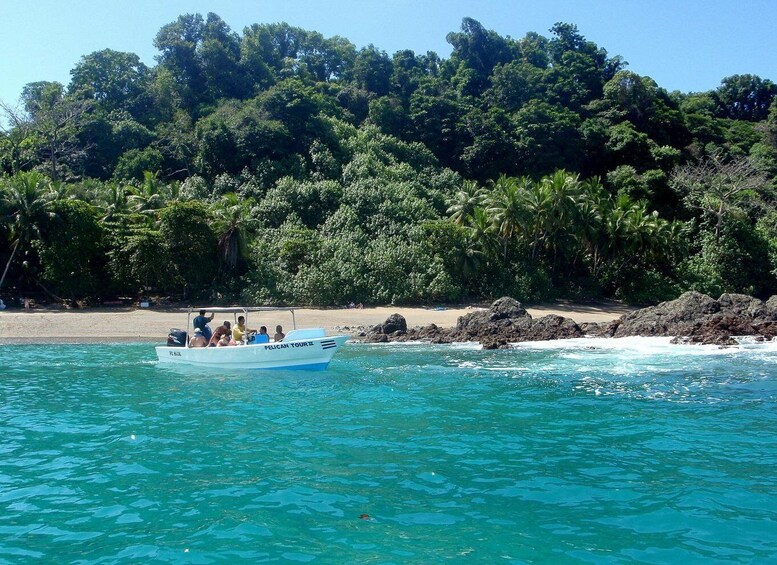Picture 21 for Activity Drake Bay: Explore Drake Bay as a Local Beach Hike Guided 5