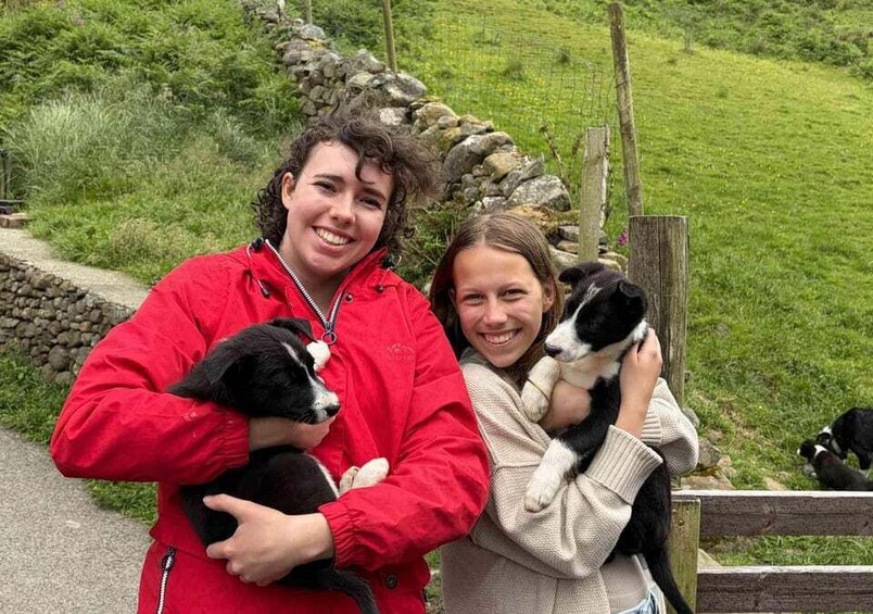 Picture 23 for Activity Small Group Tour: Connemara, Kylemore Abbey & Sheepdog Show 5