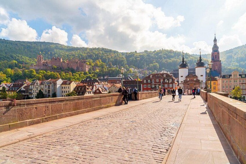 Half Day Private Tour Heidelberg from Frankfurt 5