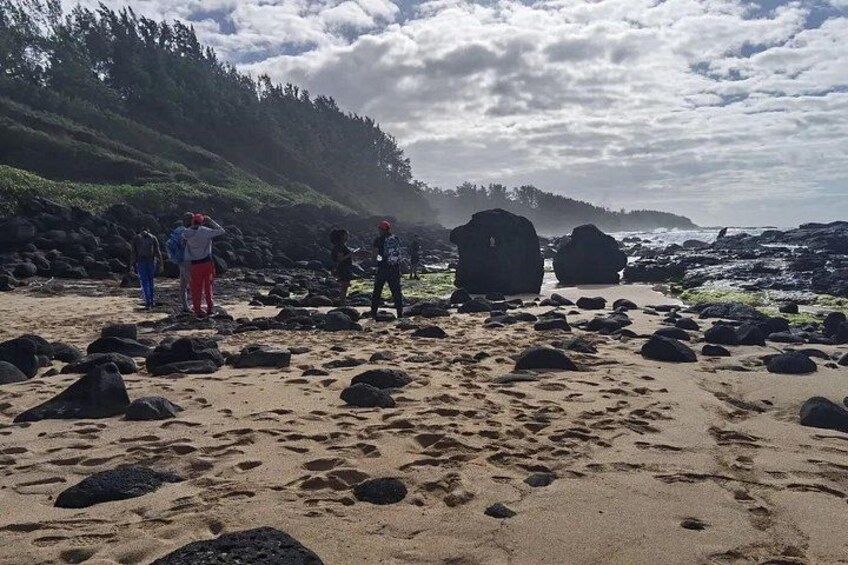 A rocky beach with people walking, large boulders, and a forested hillside in the background. 3