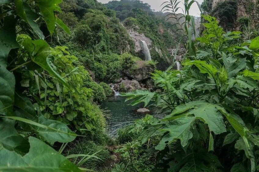 Hike and Swim in fresh springs and waterfalls in Guadalajara 4