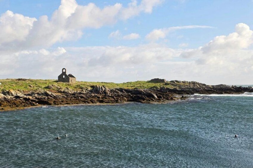 Isle of Man Wildlife & Scenic Driver Guided Adventure - Full Day 3