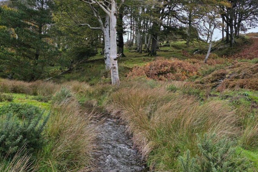 Isle of Man Wildlife & Scenic Driver Guided Adventure - Full Day 4
