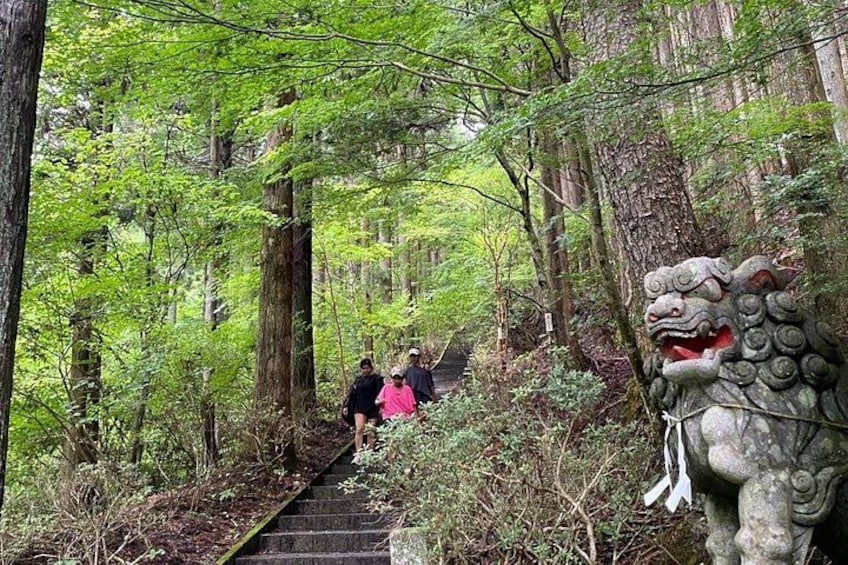Once you start, you’ll be faced with 403 stairs. 2
