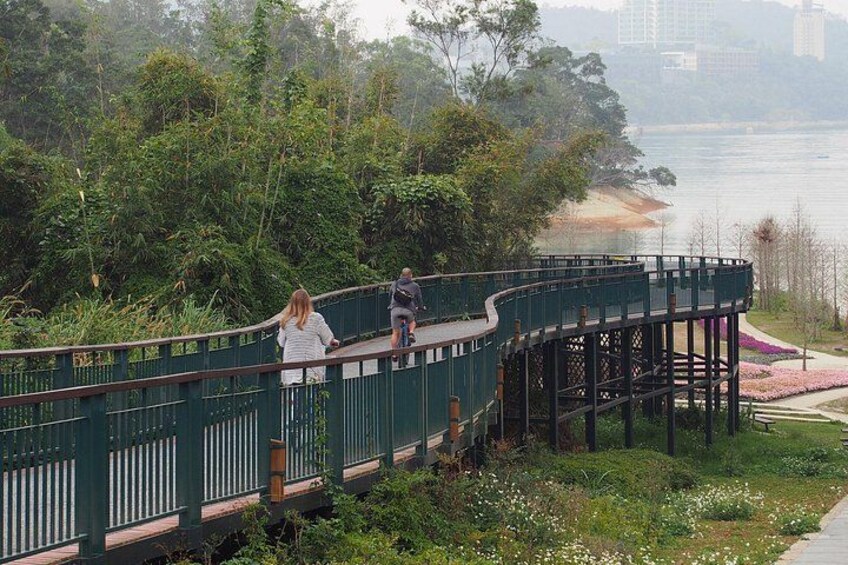 A pedestrian bridge over a river, surrounded by greenery and a distant cityscape. 4