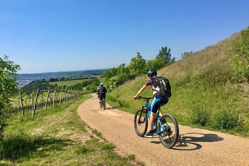 E-Bike Tour with Wine Tasting from Salò 1