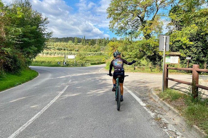 E-Bike Tour with Wine Tasting from Salò 3