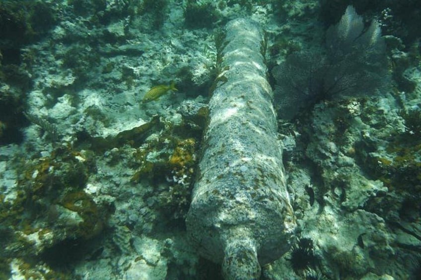 Cannon sunken in battle 5