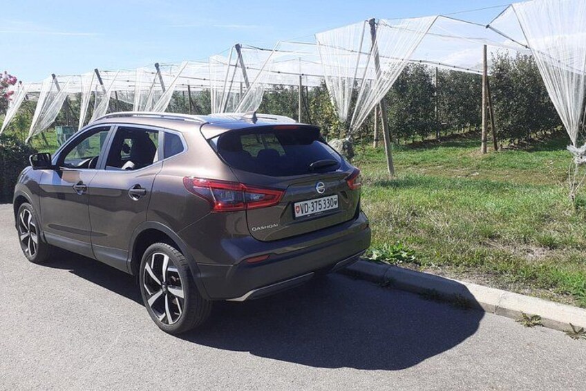A dark-colored SUV parked on a road with a vineyard in the background. 5