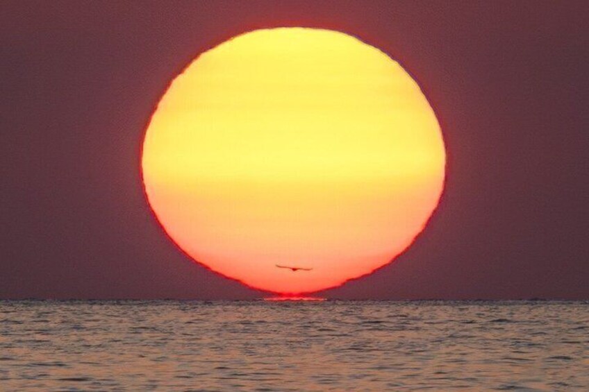 A large sun setting over the ocean. 5