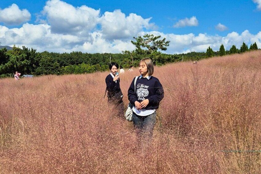 Jeju Island South Unesco Mt Halla One day Bus Tour 5